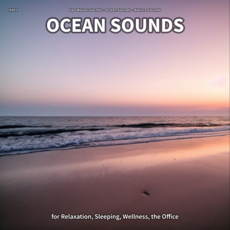 Ocean Sounds, Pt. 24 ft. Ocean Sounds & Nature Sounds