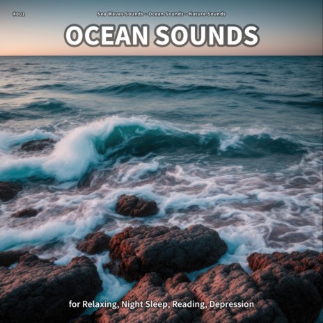 Ocean Sounds, Pt. 89 ft. Ocean Sounds & Nature Sounds