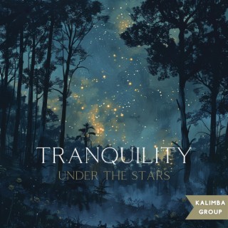 Tranquility Under the Stars: the Peaceful Sounds of the Woods