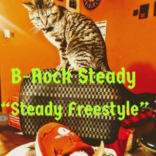 Steady Freestyle