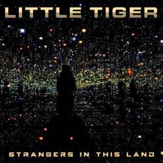 Strangers In This Land