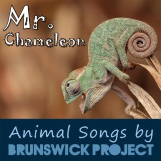 Mister Chameleon