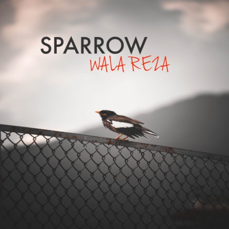 Sparrow | Boomplay Music