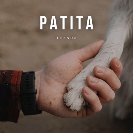 Patita | Boomplay Music