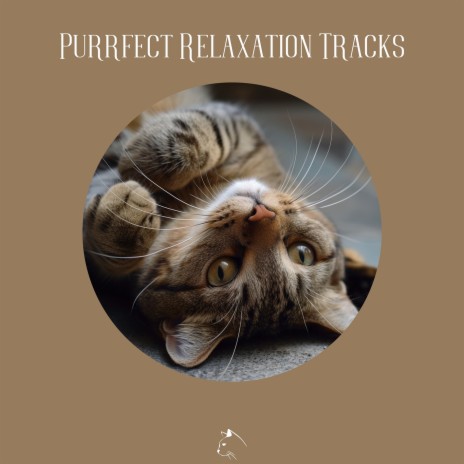 Purrfect Relaxation Tracks