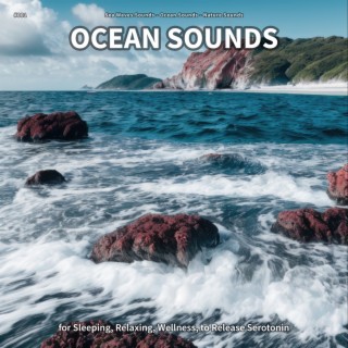 #001 Ocean Sounds for Sleeping, Relaxing, Wellness, to Release Serotonin