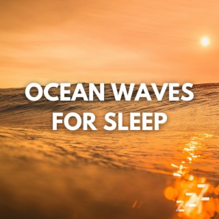 Real Ocean Waves on The Beach (Loopabke, No Fade)