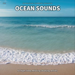 #001 Ocean Sounds for Night Sleep, Relaxing, Studying, Anxiety