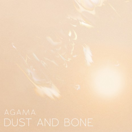 Dust and Bone | Boomplay Music