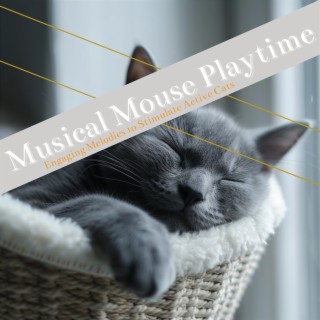 Musical Mouse Playtime: Engaging Melodies to Stimulate Active Cats