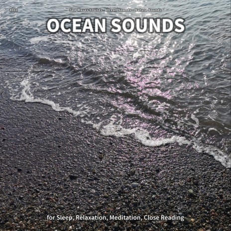 Ocean Sounds, Pt. 45 ft. Ocean Sounds & Nature Sounds