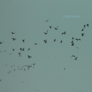 Indiana