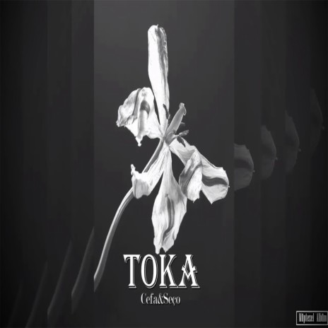 Toka (feat. Seço) | Boomplay Music