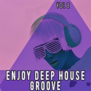 Enjoy Deep House Groove, Vol. 2 - Shiny House and Deep Grooves