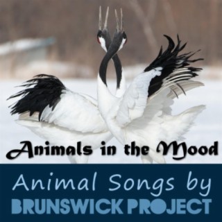 Animals in the Mood