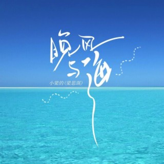 晚风与海（DJ版） lyrics | Boomplay Music