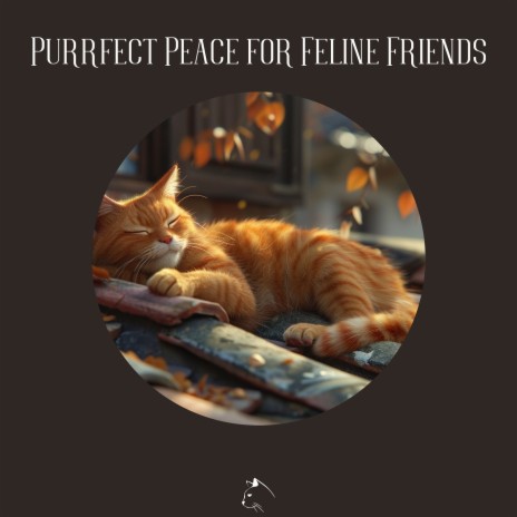 Relieve Stress in Pets | Boomplay Music