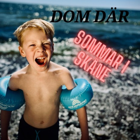 Sommar i Skåne | Boomplay Music