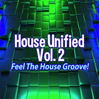 House Unified, Vol.2 - Feel the House Groove!