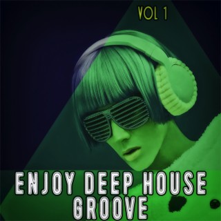 Enjoy Deep House Groove, Vol. 1 - Shiny House and Deep Grooves