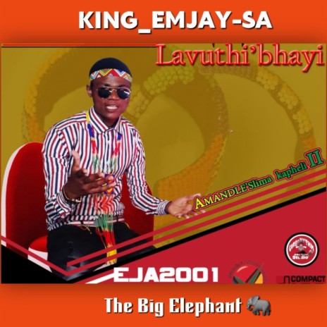 LAVUTHI BHAYI (Special Version) | Boomplay Music