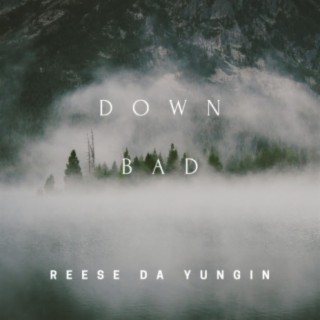 Down bad (feat. Psr Gxssedout)