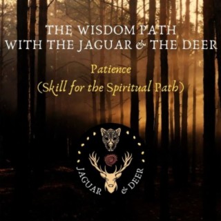 Patience (Tool for the Spiritual Practice) - The Wisdom Path (The Jaguar & The Deer) - Episode 5