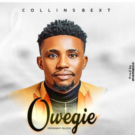 Owegie | Boomplay Music