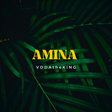 Amina | Boomplay Music