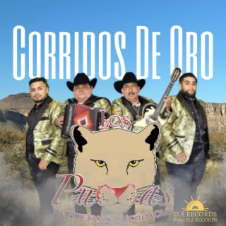 Corridos De Oro