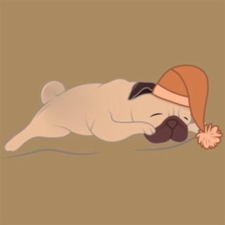 sleepy pug vol. 1