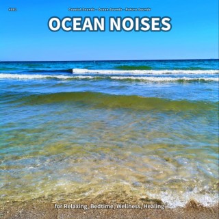 #001 Ocean Noises for Relaxing, Bedtime, Wellness, Healing