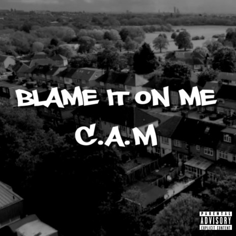 Blame it on me | Boomplay Music