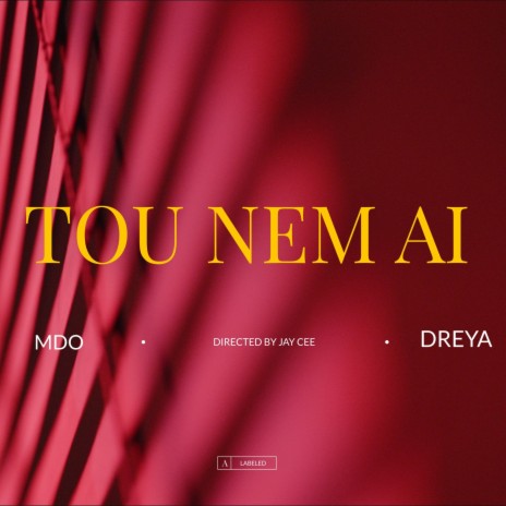 Tou Nem Aí ft. Dreya | Boomplay Music