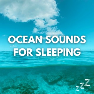 Real Recording of Ocean Sounds on The Beach (Loopable, No Fade)
