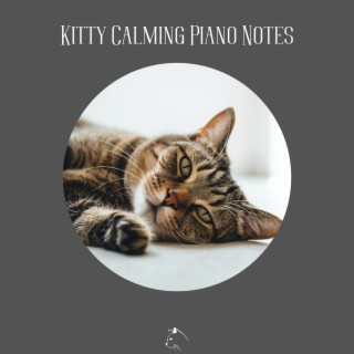 Kitty Calming Piano Notes