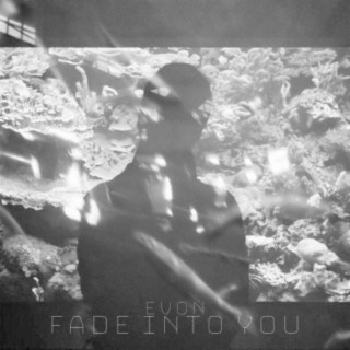 Fade into You