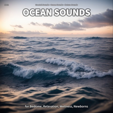 Ocean Sounds, Pt. 14 ft. Ocean Sounds & Nature Sounds