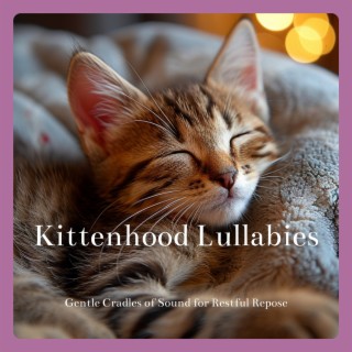 Kittenhood Lullabies: Gentle Cradles of Sound for Restful Repose