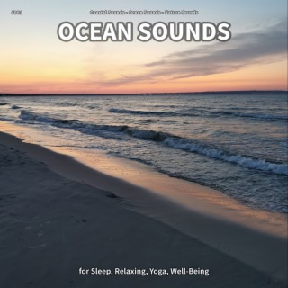 #001 Ocean Sounds for Sleep, Relaxing, Yoga, Well-Being