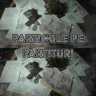 PARTICULE PE PARTITURI