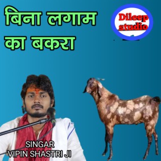 Bina Lagam Ka Bakra