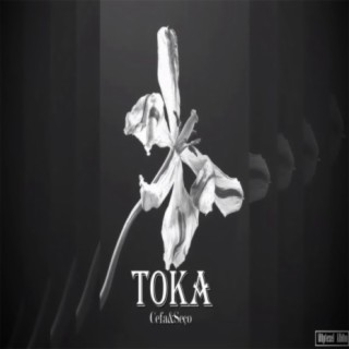 Toka (feat. Seço)