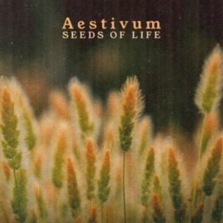 Seeds Of Life