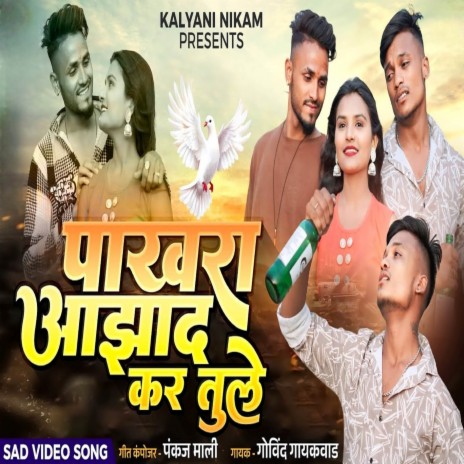 Pakhara Azad Kar Tule (Pakhara Azad Kel Tula - Ahirani Version) | Boomplay Music