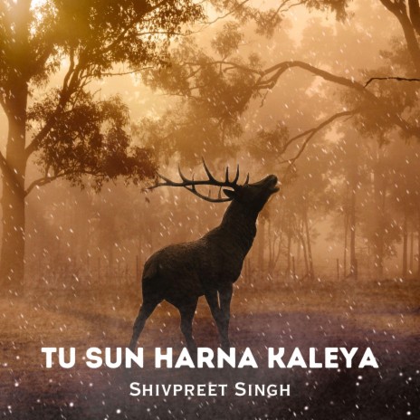 Tu Sun Harna Kaleya | Boomplay Music