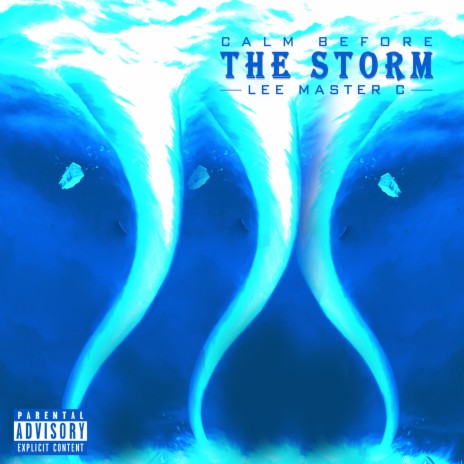 Storm Survivors (Outro) | Boomplay Music