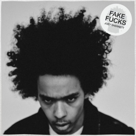 Fake Fucks | Boomplay Music