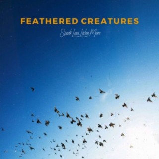 Feathered Creatures