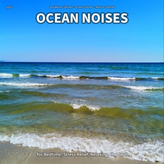 #001 Ocean Noises for Bedtime, Stress Relief, Relaxing, the Soul